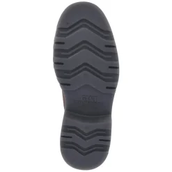 Herren GANT Chelsea Boots BLISDOR -