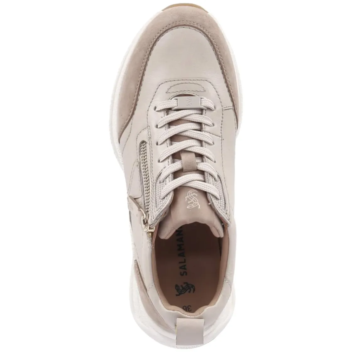 Damen Salamander Low Sneaker -