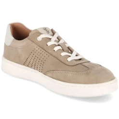 Herren Salamander Low Sneaker -