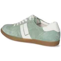Damen Paul Green Low Sneaker -