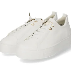 Damen Paul Green Low Sneaker -