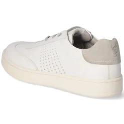 Herren Salamander Low Sneaker -