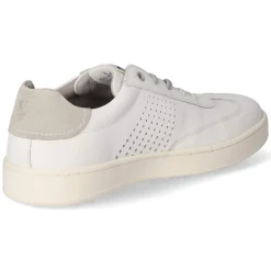 Herren Salamander Low Sneaker -